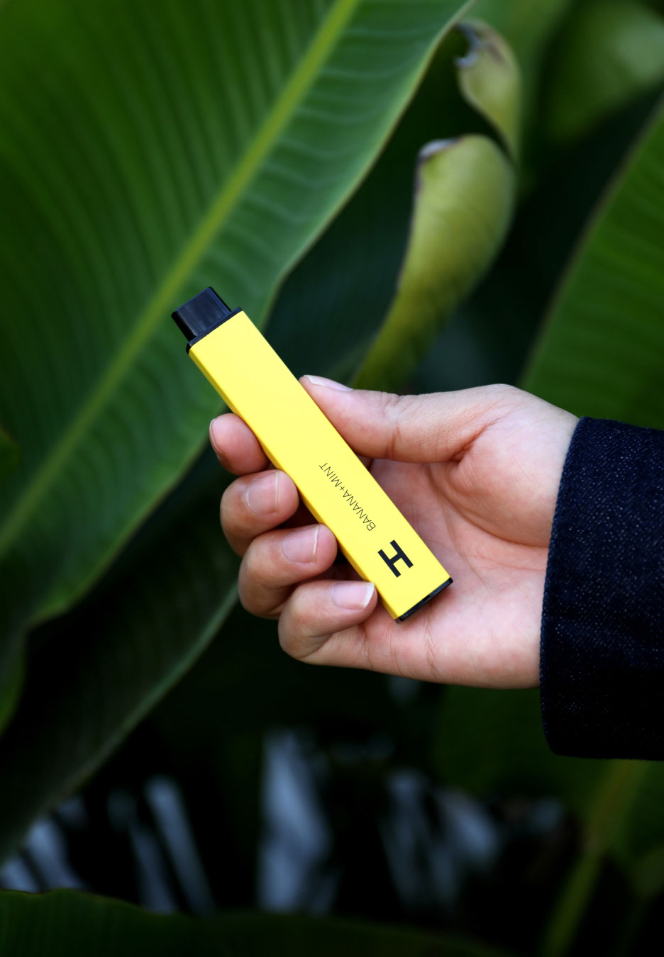 Person Holding Yellow Vape with Leafy Background Person Holding Yellow Vape with Leafy Background
